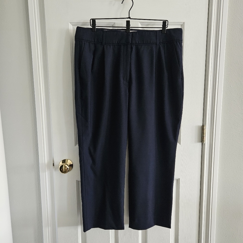 NWOT J.Crew Crochet Trimmed Pleated Trousers